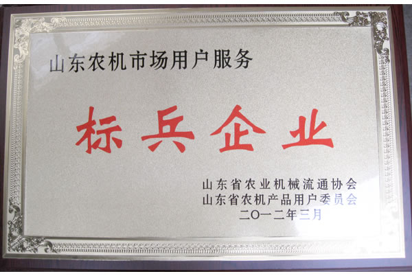 2012年山東農(nóng)機(jī)市場(chǎng)用戶服務(wù)標(biāo)兵企業(yè)